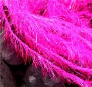 Flybox® Small Crystal Hackle 5mm - Fl Pink