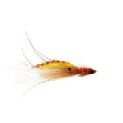 RS Tiger Francis Red