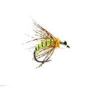 Barbless Tungsten Grannom Pupa