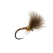 Barbless Quill CdC Emerger Natural