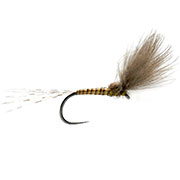 Barbless BWO Split Wing Dun