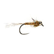 Barbless Tungsten KJ Quill Nymph