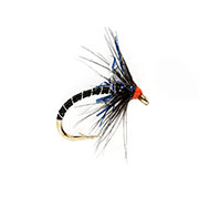 KJ Black & UV Spider