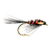 KJ Super Diawl Bach