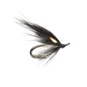 RS Low Water Silver Stoat