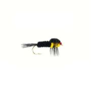 Yellow Weighted Montana