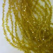 Flybox® Gel Core Micro Body - Golden Olive