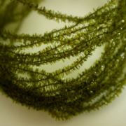 Flybox® Gel Core Micro Body - Dark Olive