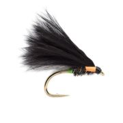 KJ Clifton Cormorant