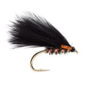 KJ UV Orange Cormorant