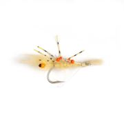 Sand Prawn