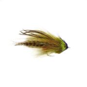 Serge's Wrasse Olive