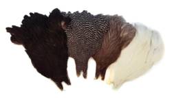 Metz Hen Neck Capes Grade 1