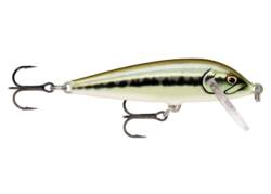 Rapala Countdown 7cm  AMN - Artistic Minnow 123152