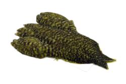 Whiting 4 B's Hen Cape - Grizzly Dyed Olive