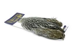 Whiting American Hen Cape - Silver Badger