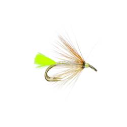 Caledonia Thomas Terror ST Double GP2