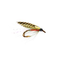 Caledonia Black Brahan JC ST Double GP2