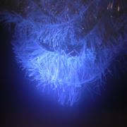 Flybox® T15 Translucent Fritz - UV White