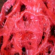 Flybox® T15 Translucent Fritz - Coral