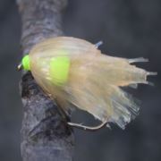 Flybox® T15 Translucent Fritz - Biscuit