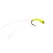 Fario Fly Cat Bug