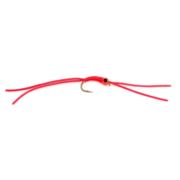 Fario Fly Worm Bug