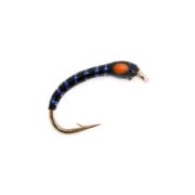 Fario Fly Wicked Orange Buzzer