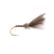 Fario Fly Hot Butt Yellow Owl