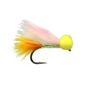 Fario Fly Sunburst Candy Man Booby