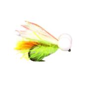 Fario Fly Sunburst Tail Cat Booby