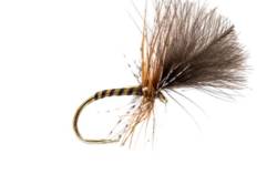 Fario Fly Yellow Owl Grunter