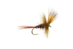 Jackie's Dark Olive Mayfly Dun