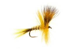 Jackie's Yellow May