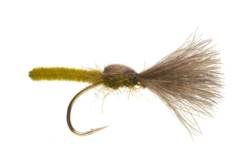Jackie's Olive Palomino Shuttlecock