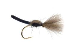 Jackie's Black Palomino Shuttlecock