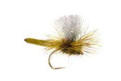 Jackie's Olive Palomino Parachute