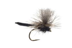 Jackie's Black Palamino Parachute