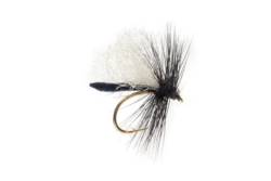 Jackie's Palamino Duckfly