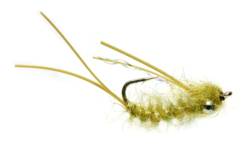 White's The Other Olive