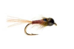 Procter's Brown Wire Flashback Nymph