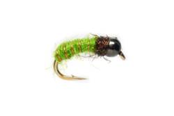 Procter's Caddis Pupa Green