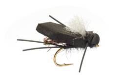 Procter's Flip Flop Bush Cicada White Wing
