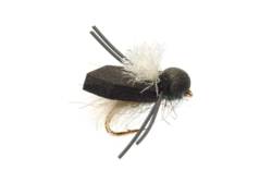 Procter's Bluebottle White Wing