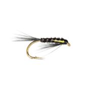 Fario Fly Black and Sunburst Diawl