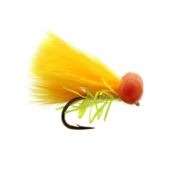 Fario Fly Neon Sunburst Booby