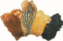 Veniards Indian Hen Capes - Natural Colours