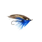 Steffan Jones MJ Towy Special