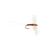 Barbless OE S/Circle Spinner BWO