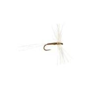 Barbless OE S/Circle Spin Olive Upright